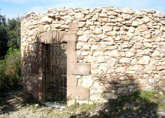 Mas sénéguier domaine oliviers en provence