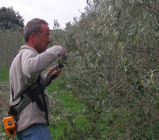 Visite et dégustation huile d'olive Provence