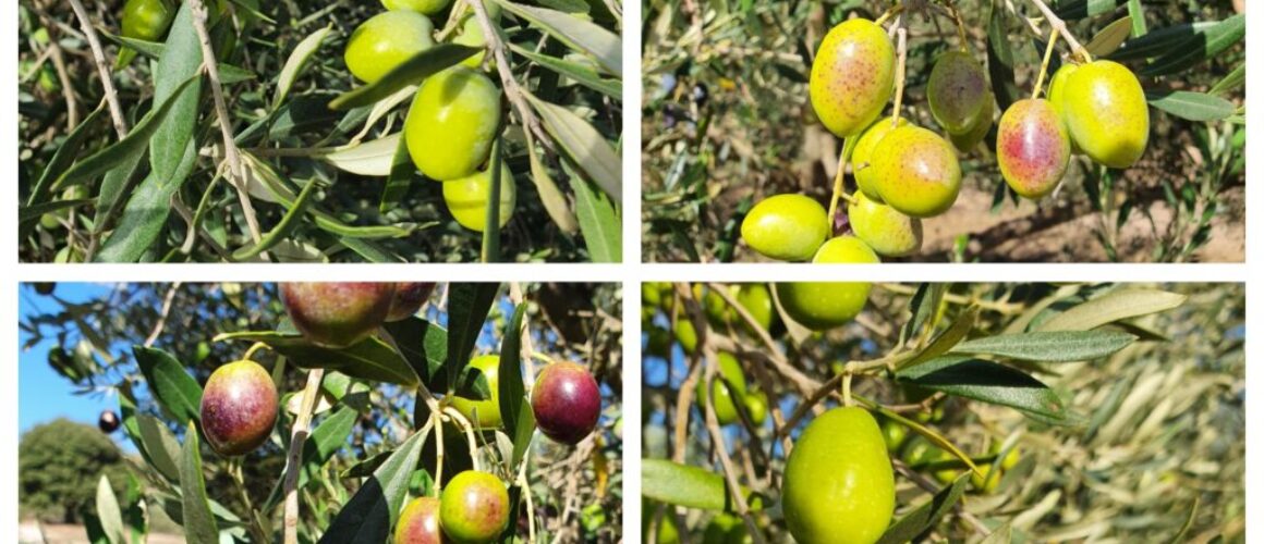 pixlr_20260323103911391